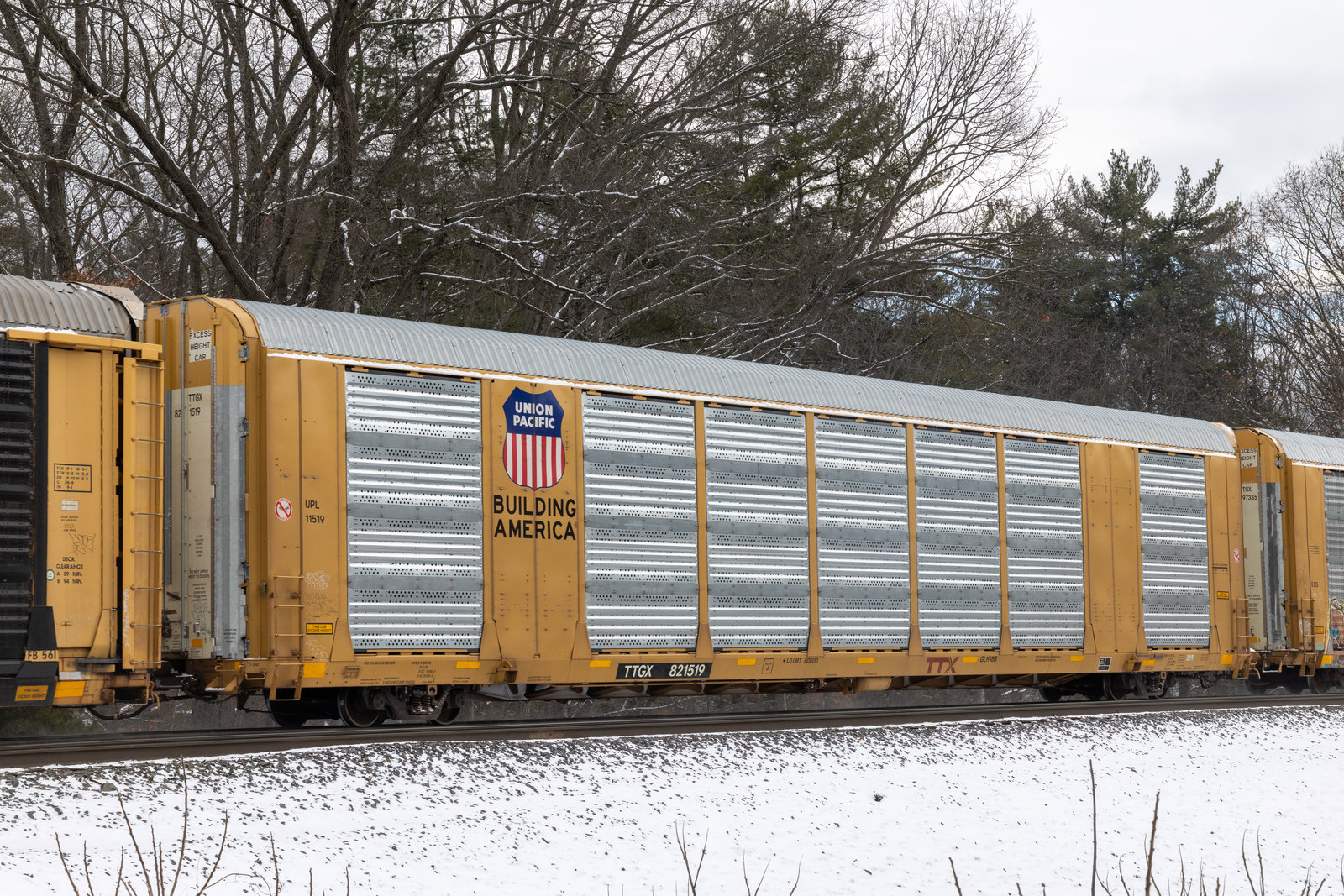 TTGX 821519