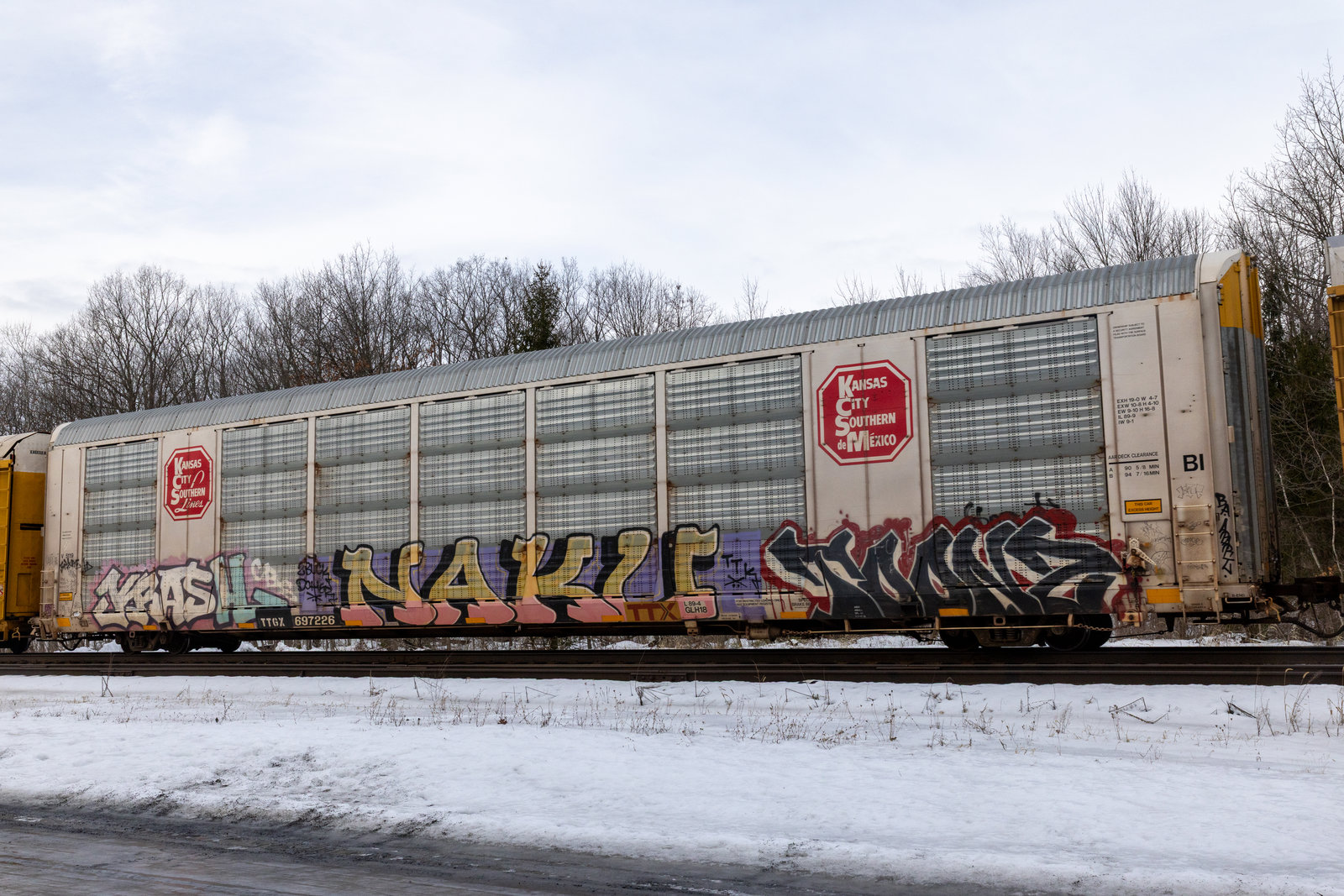 TTGX 697226