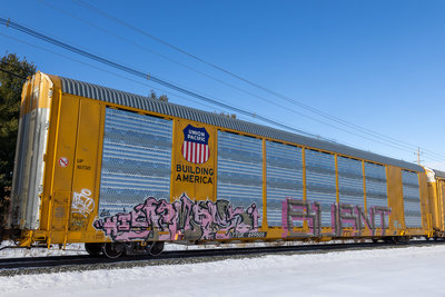 TTGX 699505