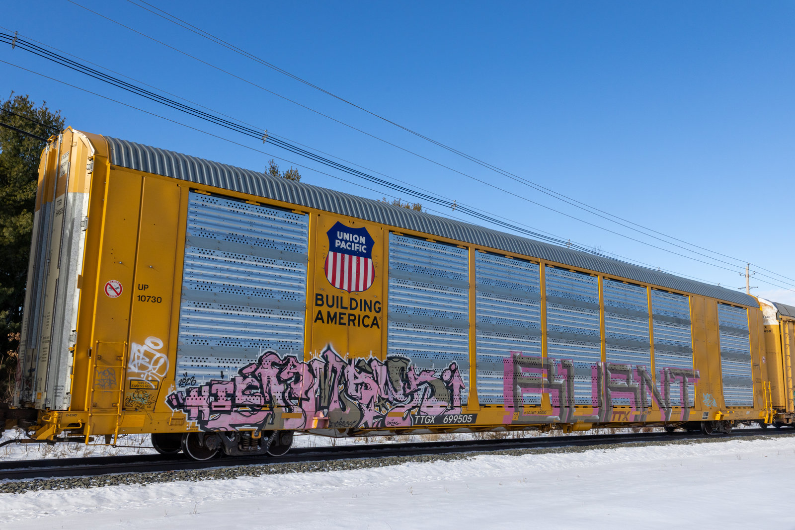 TTGX 699505