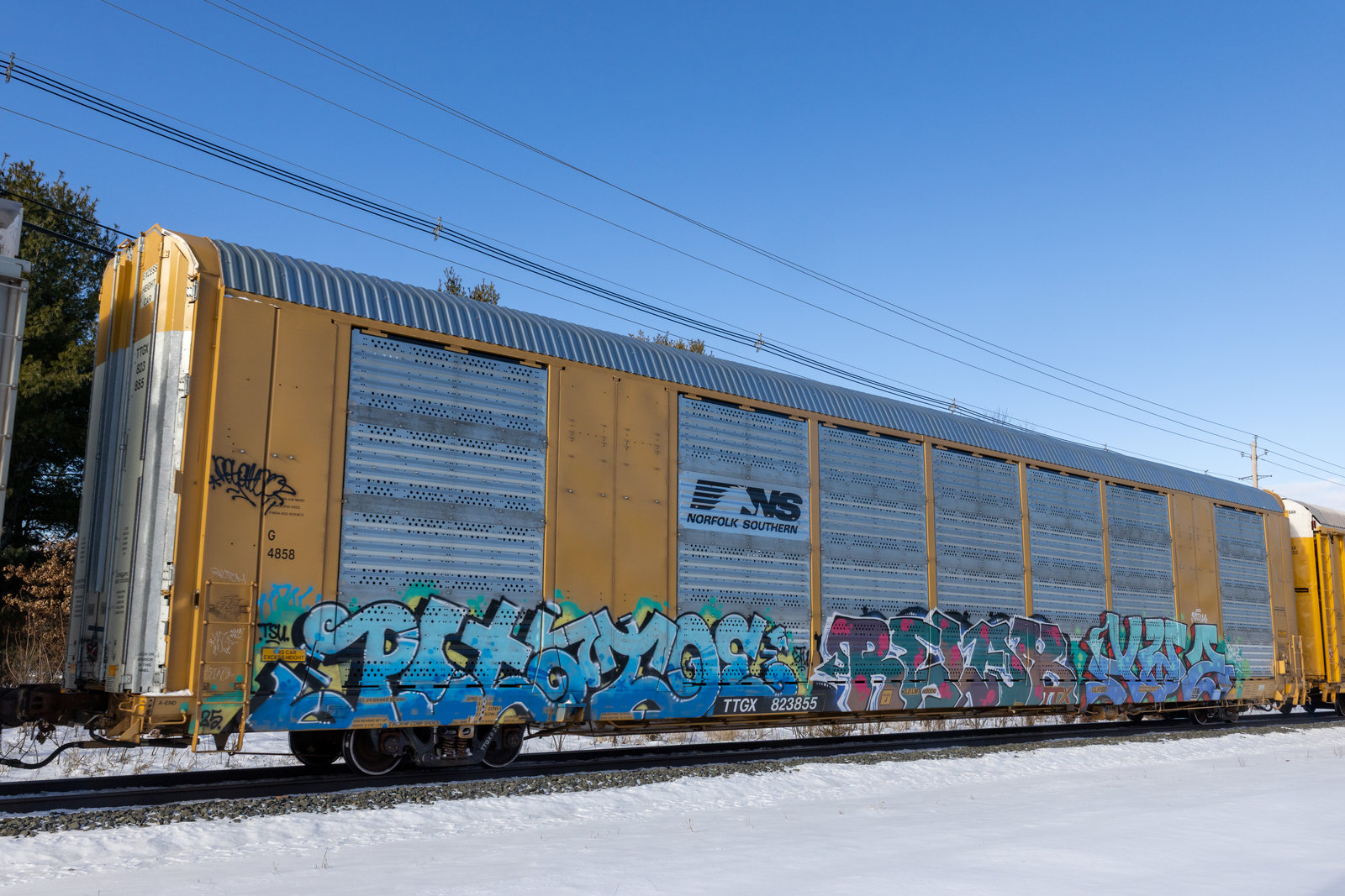 TTGX 823855