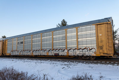 TTGX 988754