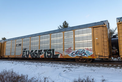 TTGX 989133