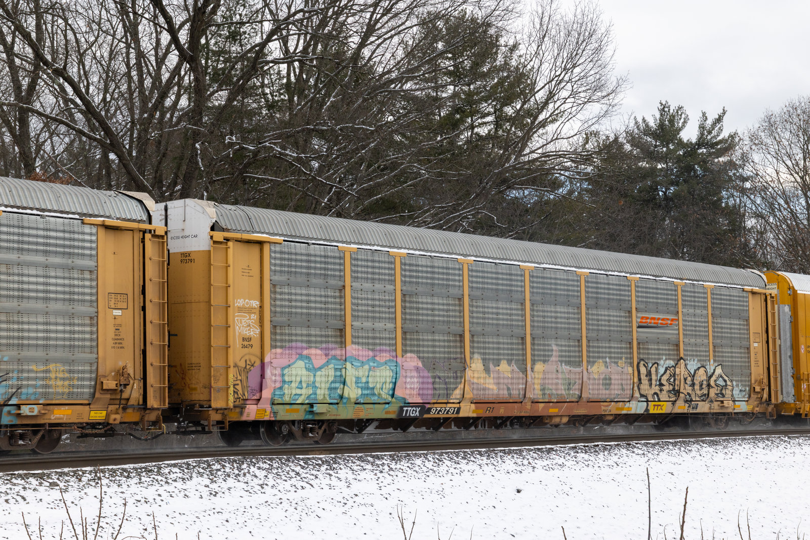 TTGX 973791