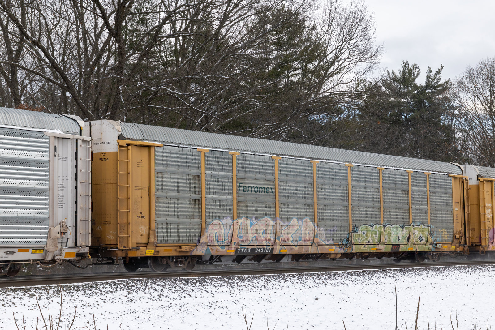 TTGX 942464