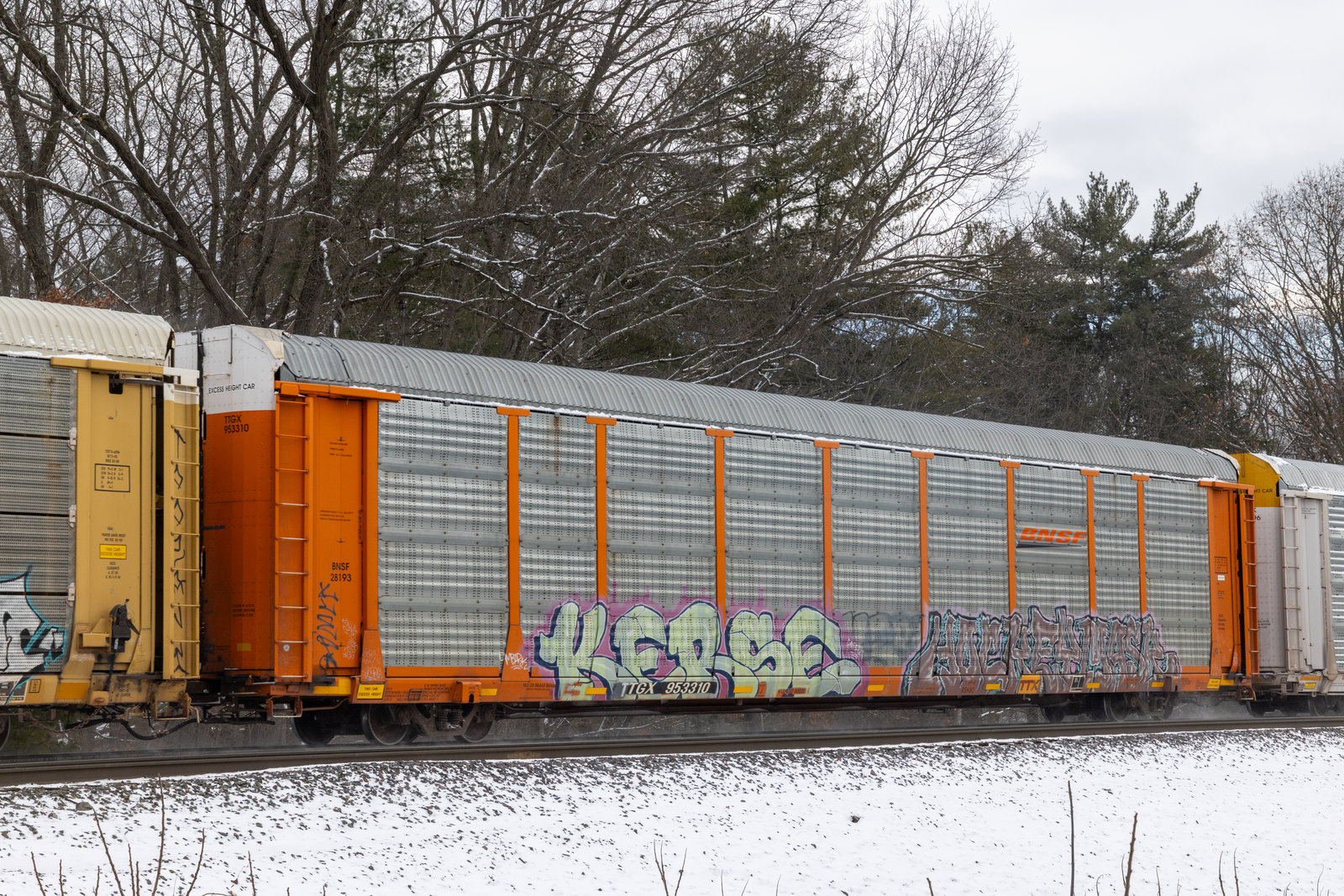 TTGX 953310
