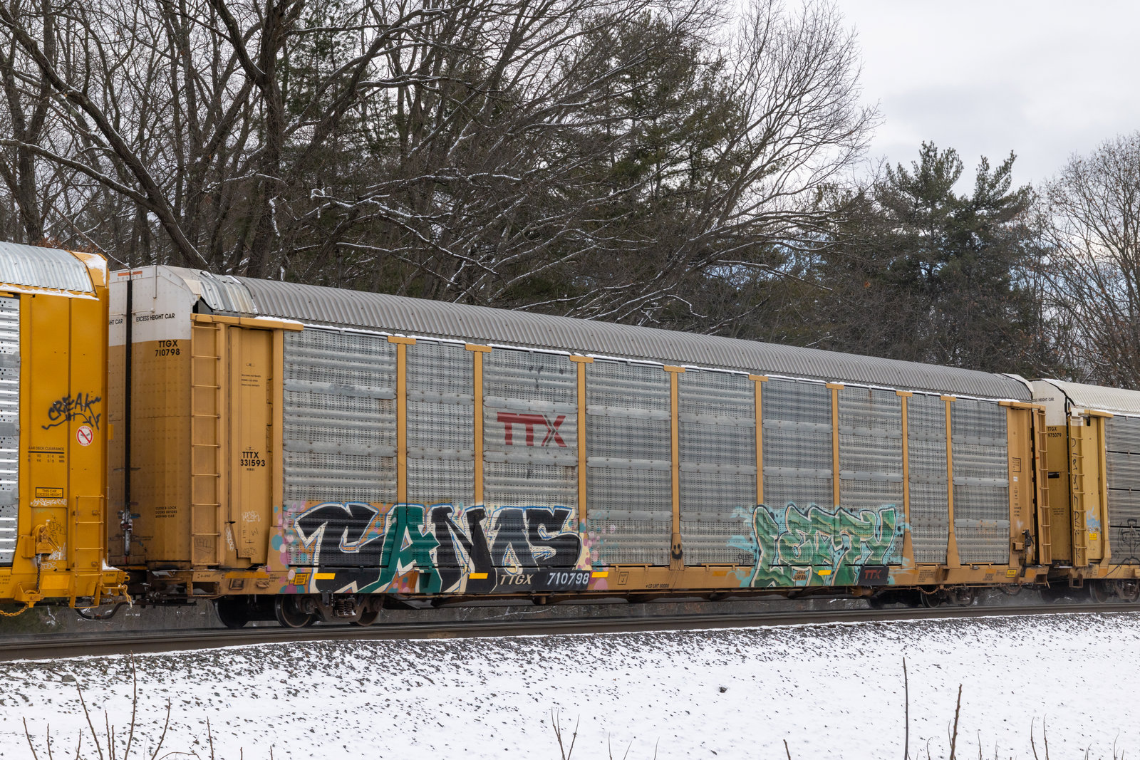 TTGX 710798