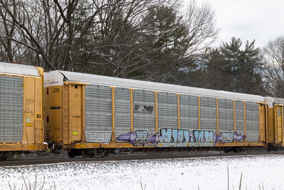 TTGX 962257