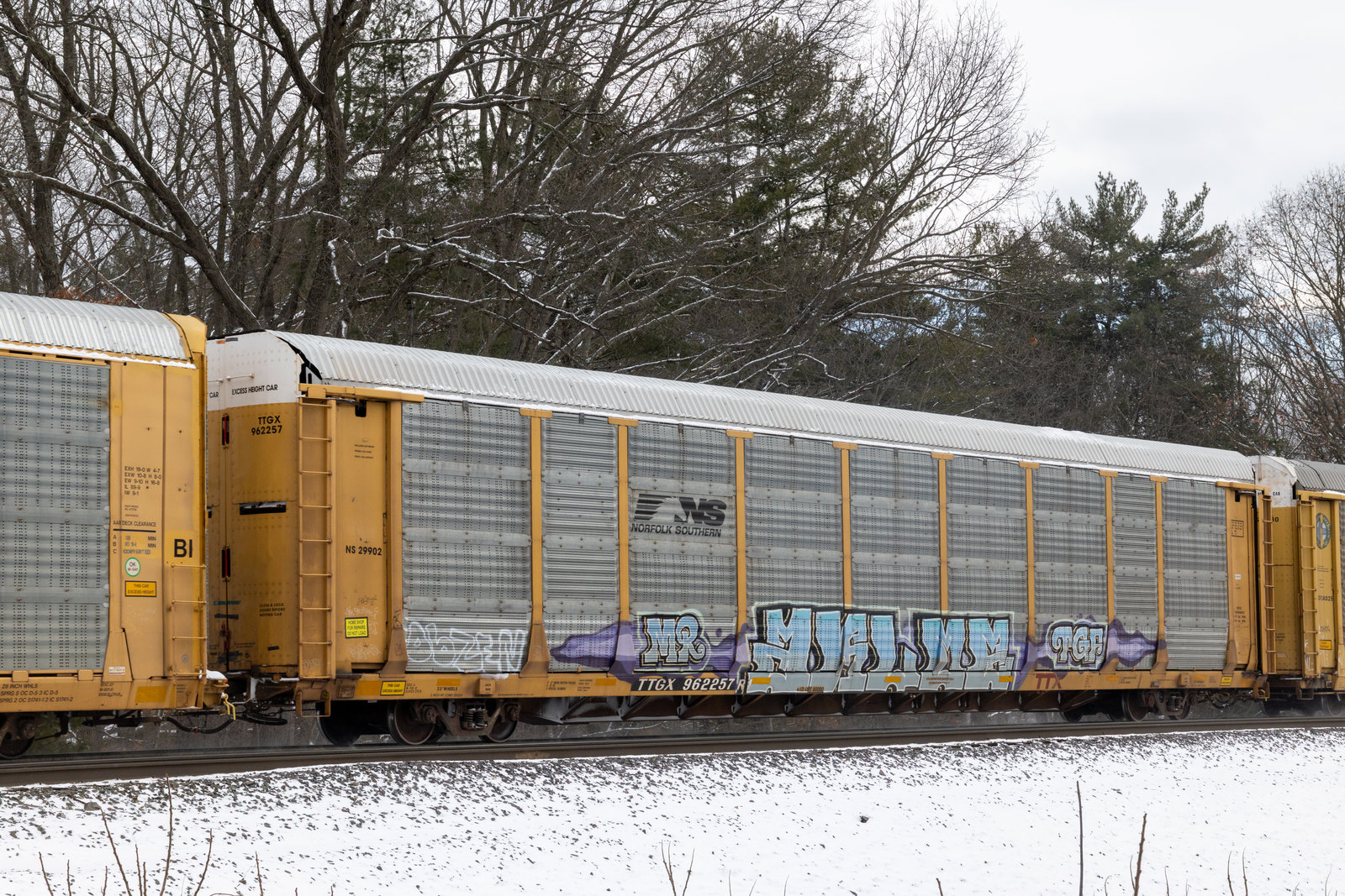TTGX 962257