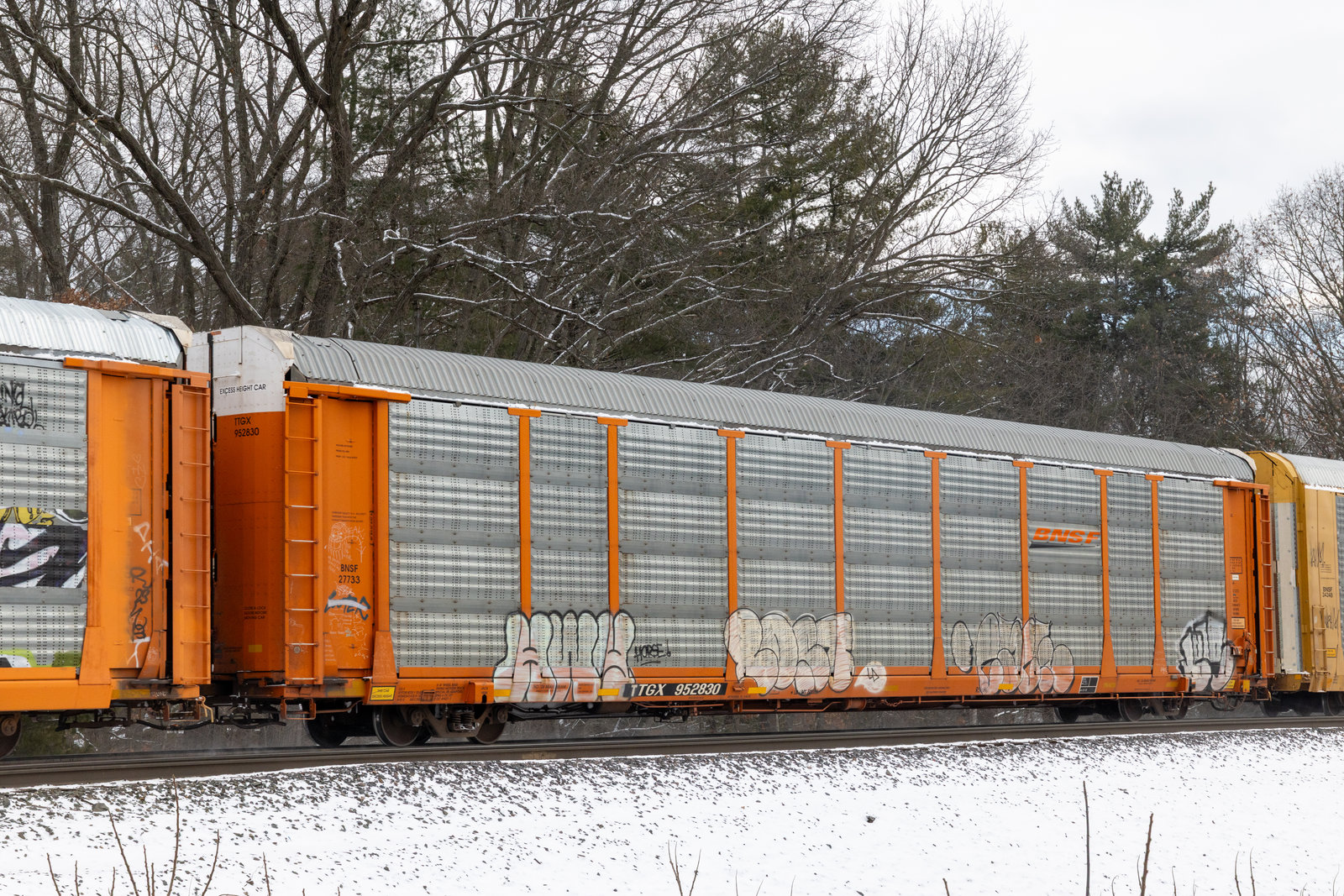 TTGX 952830