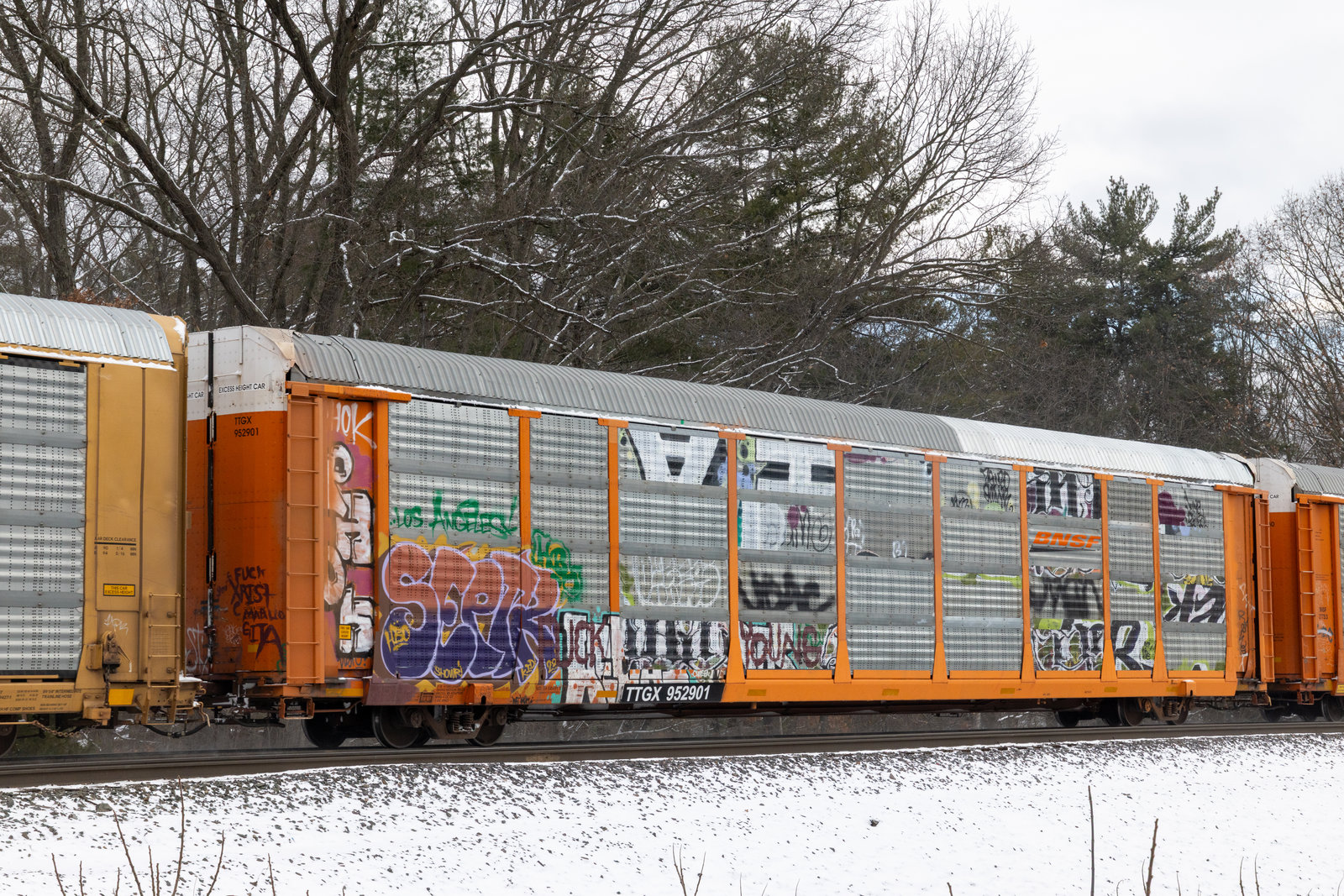 TTGX 952901