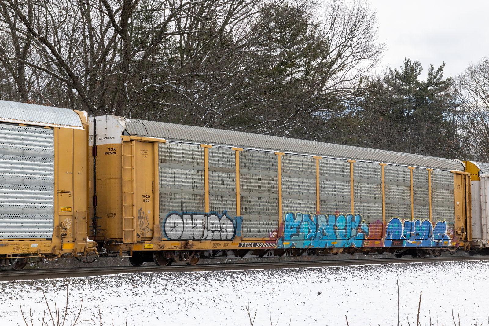 TTGX 992595
