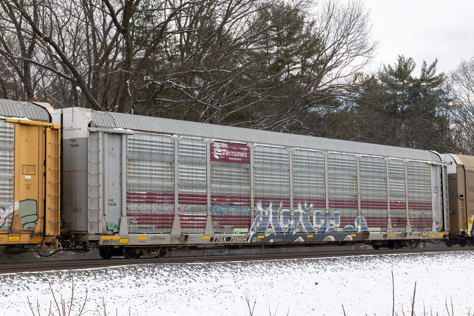TTGX 705604
