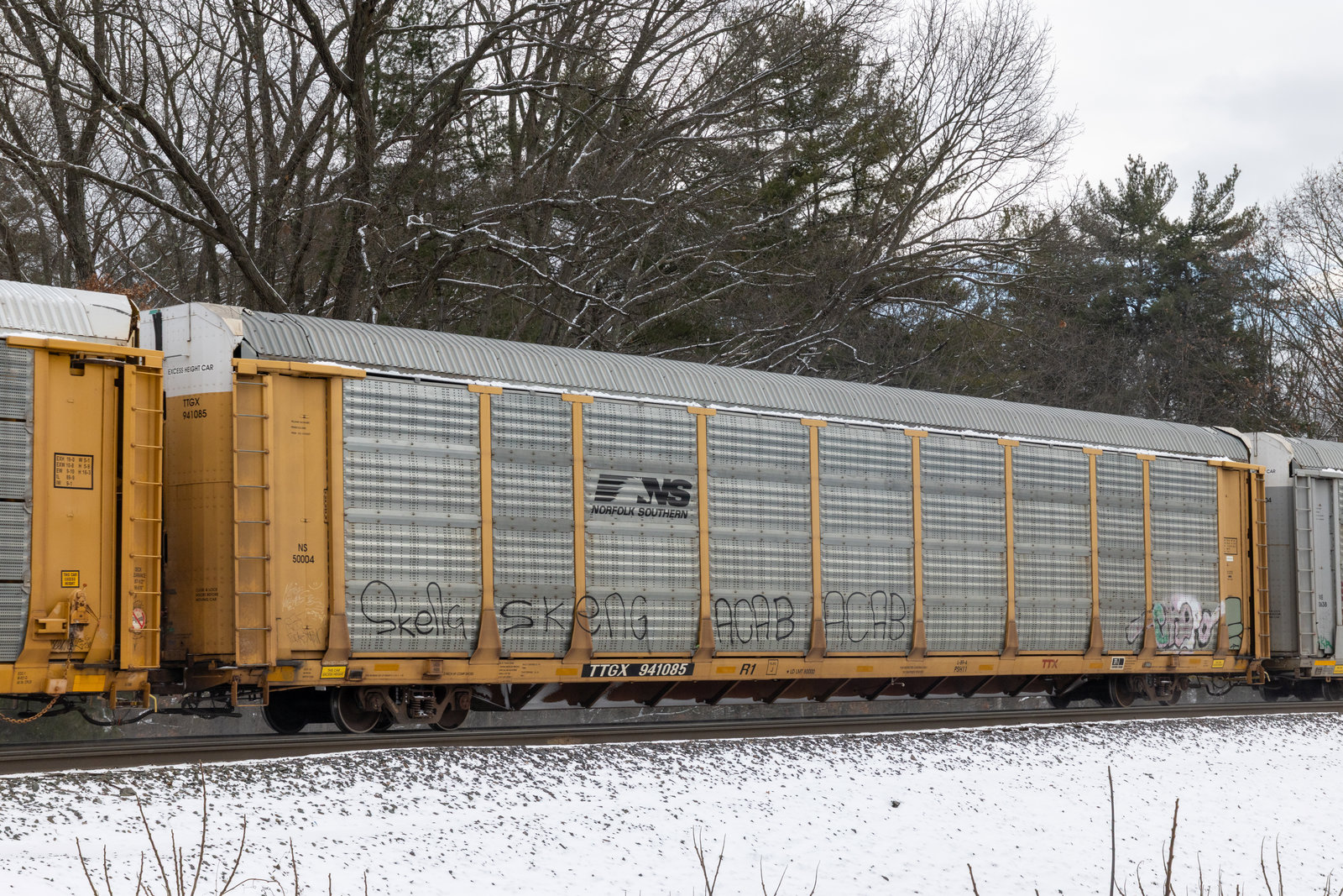 TTGX 941085
