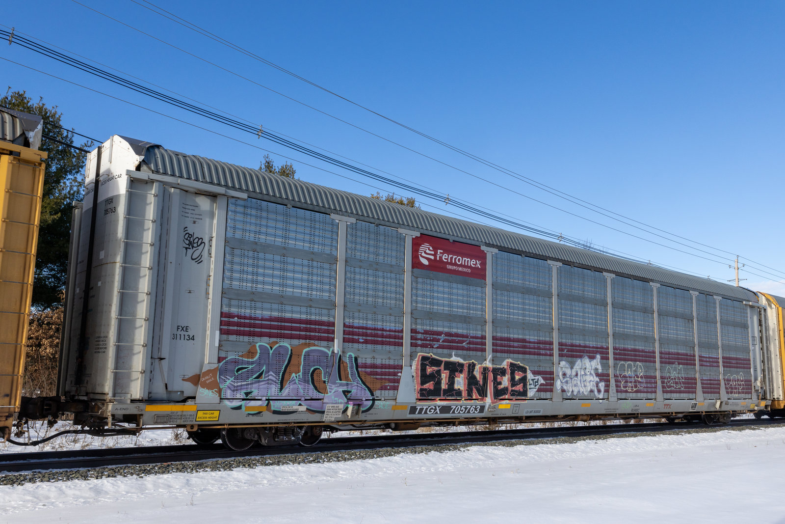 TTGX 705763