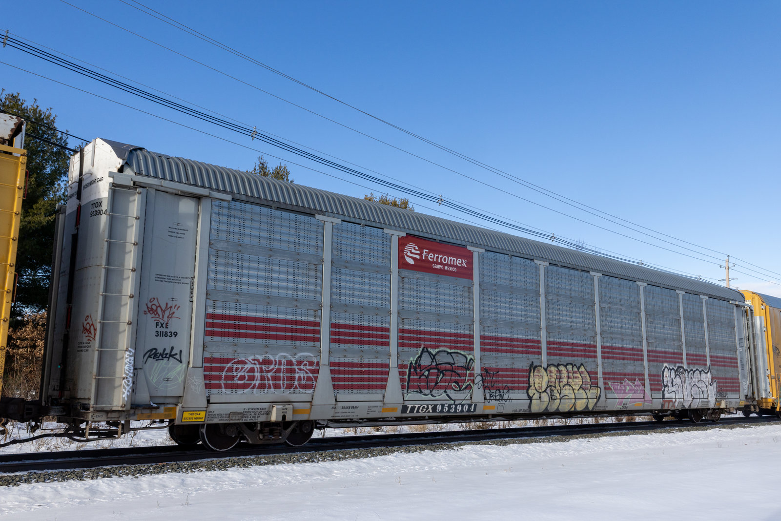 TTGX 953904