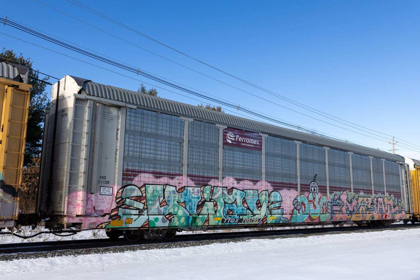 TTGX 705795
