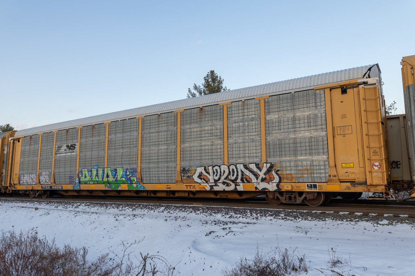 TTGX 158298