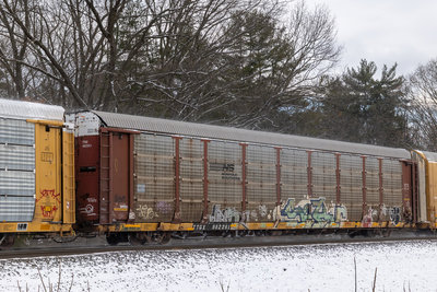 TTGX 982261