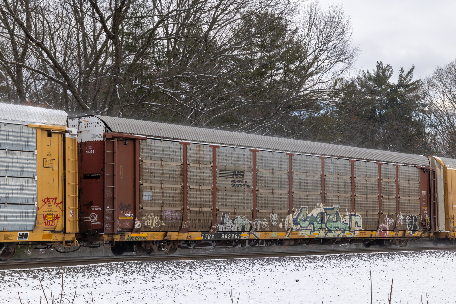 TTGX 982261