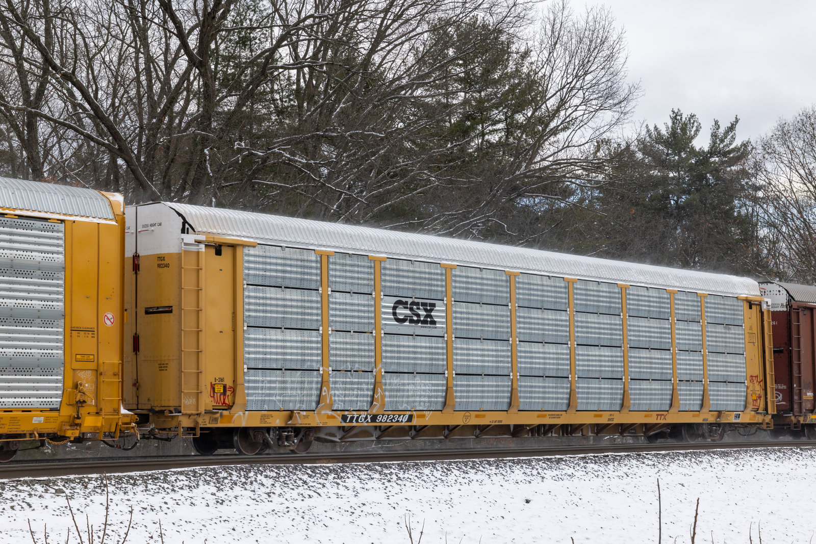 TTGX 982340