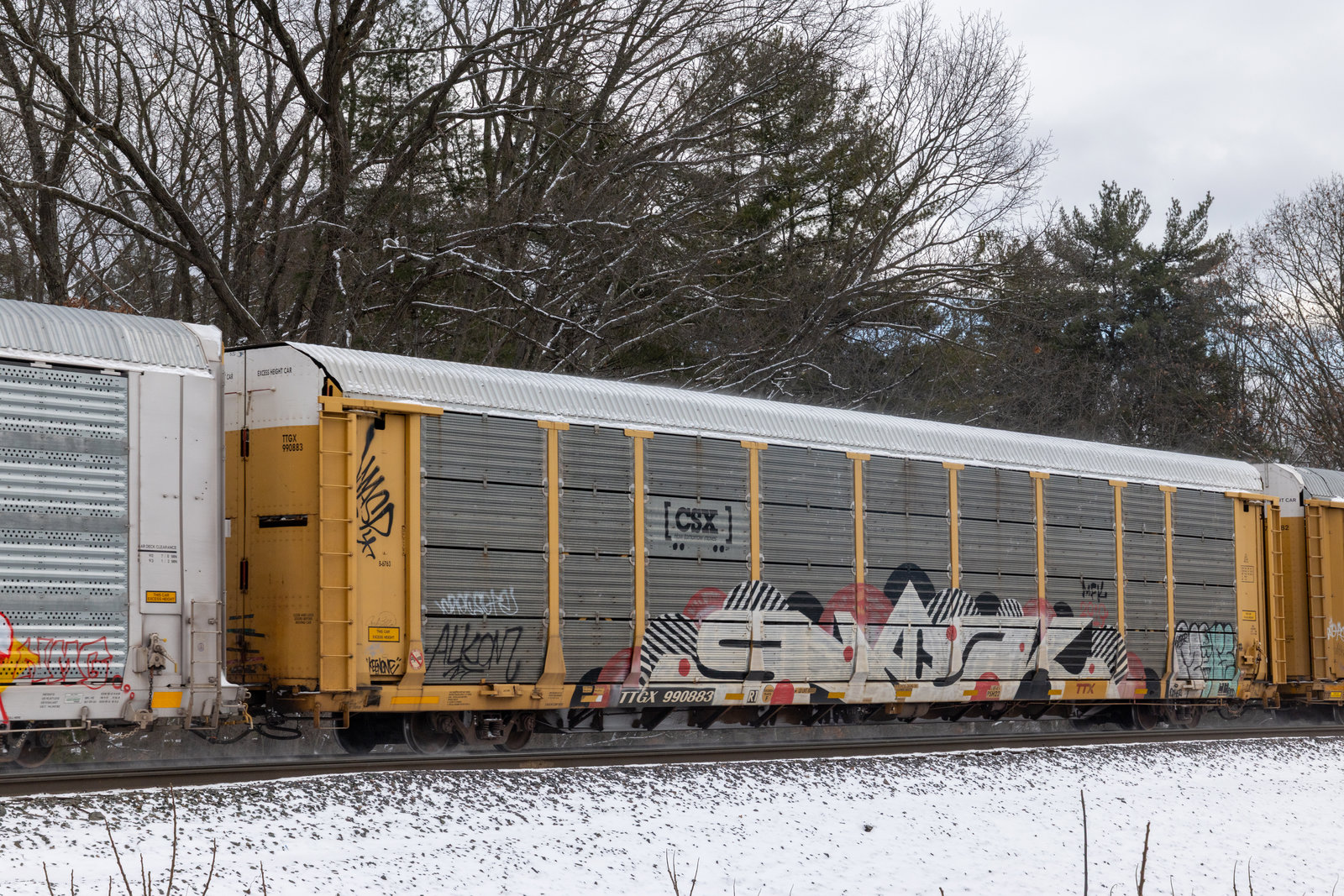 TTGX 990883