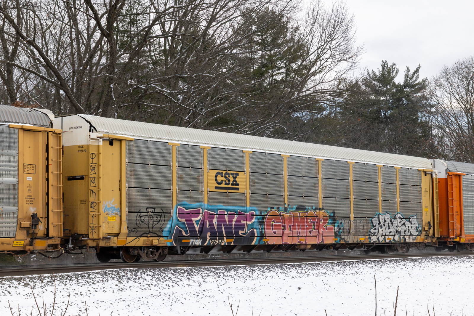 TTGX 975079
