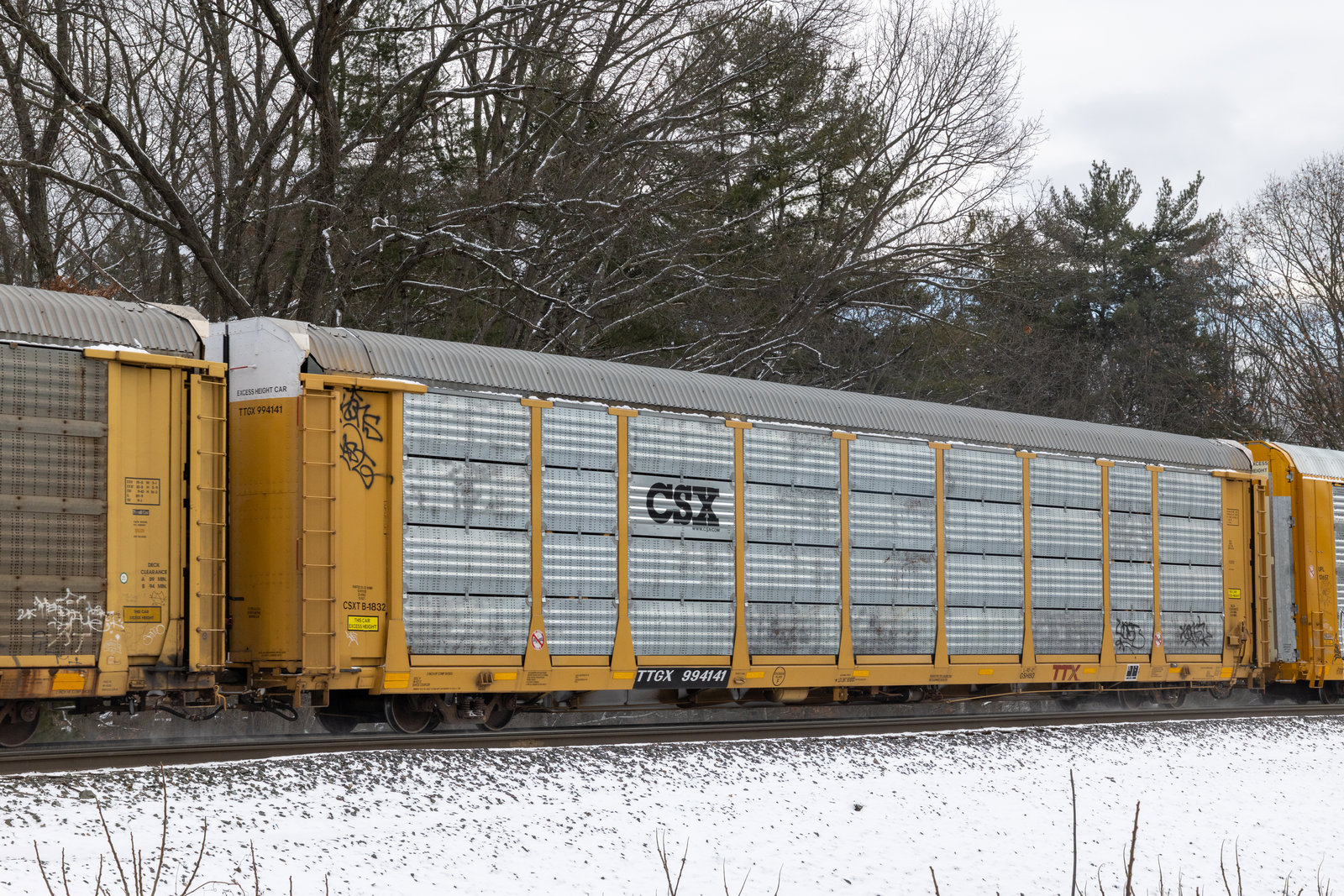 TTGX 994141