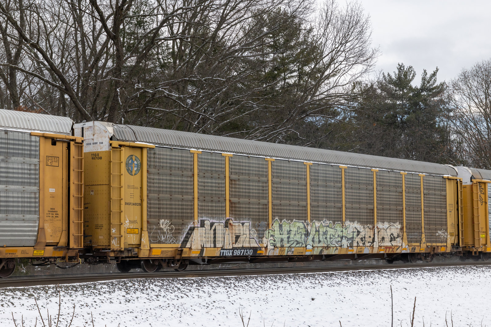 TTGX 987130