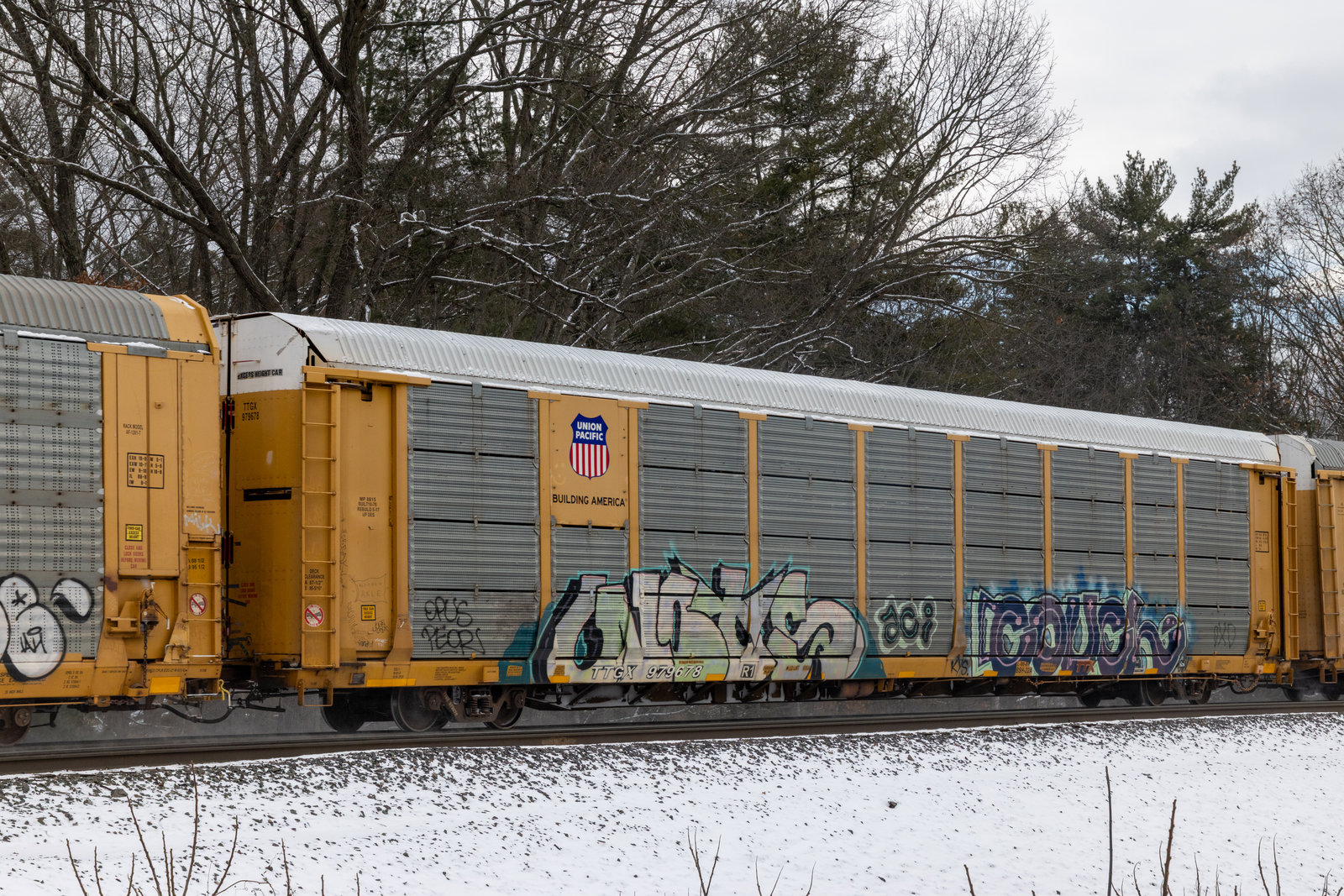 TTGX 979678