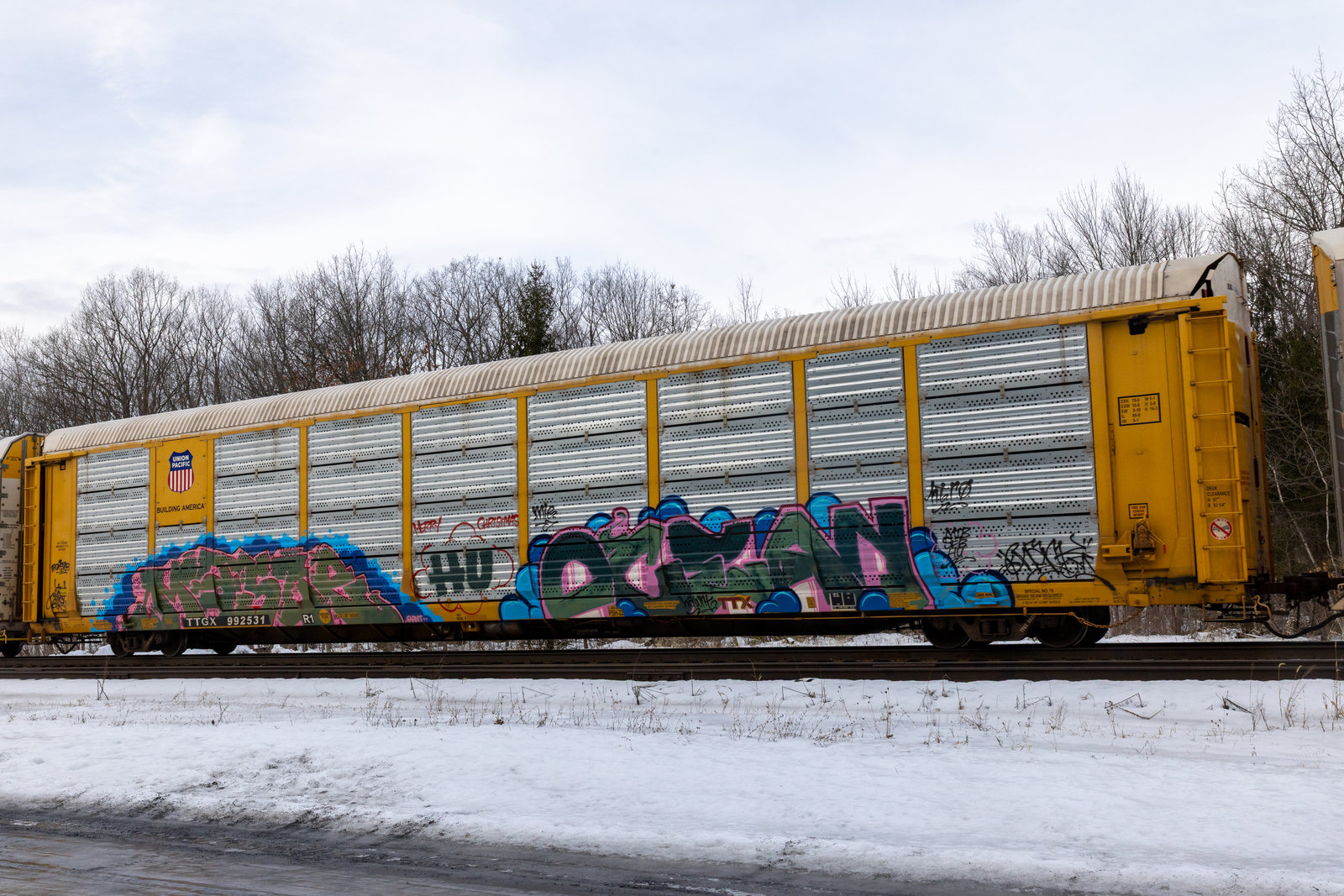 TTGX 992531