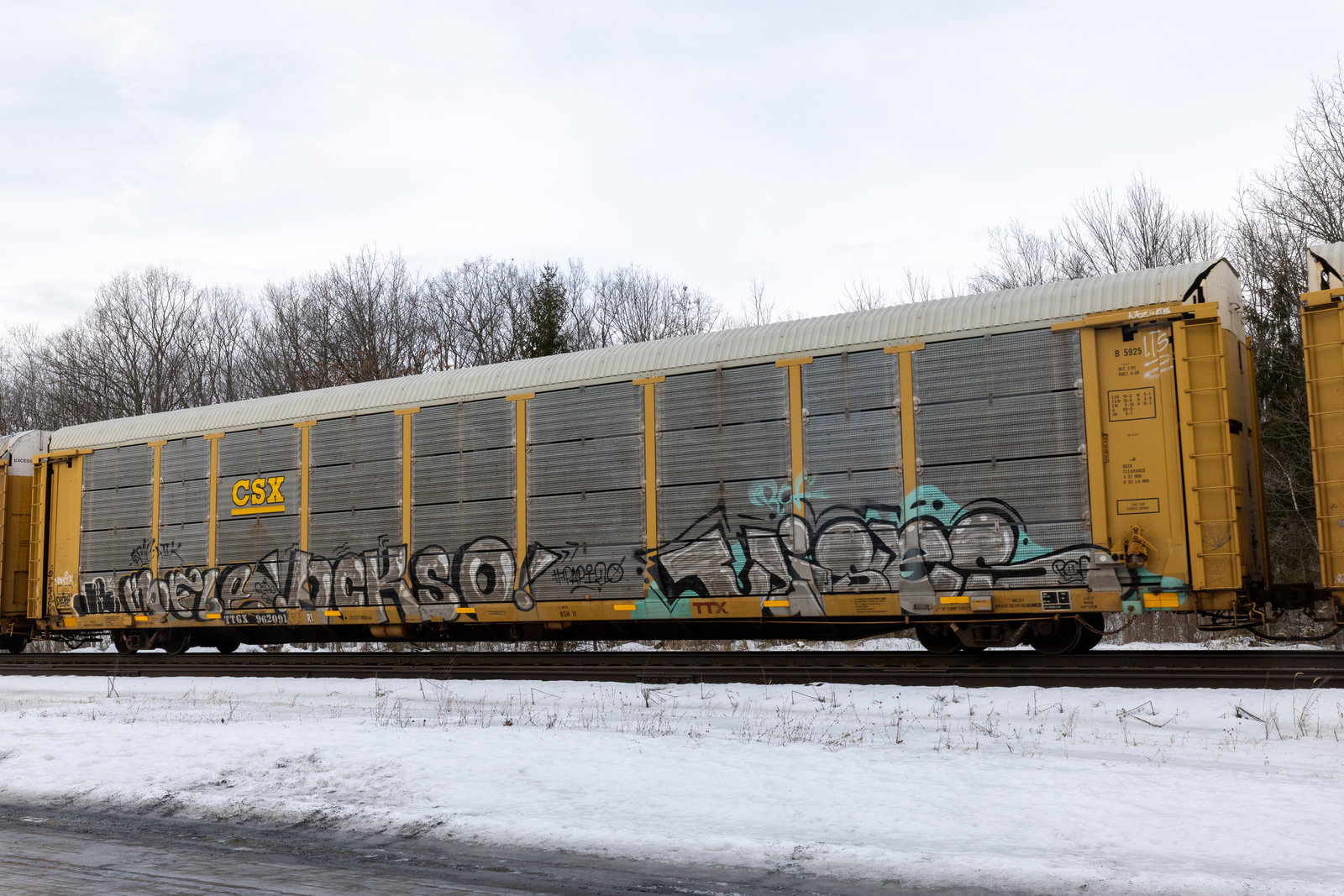 TTGX 962091