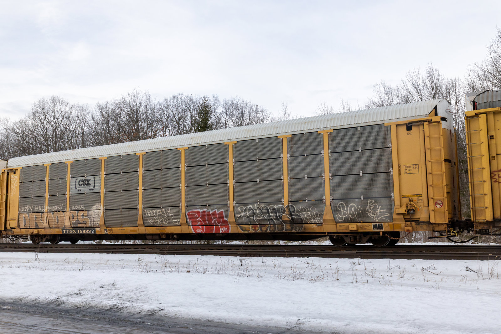 TTGX 159832