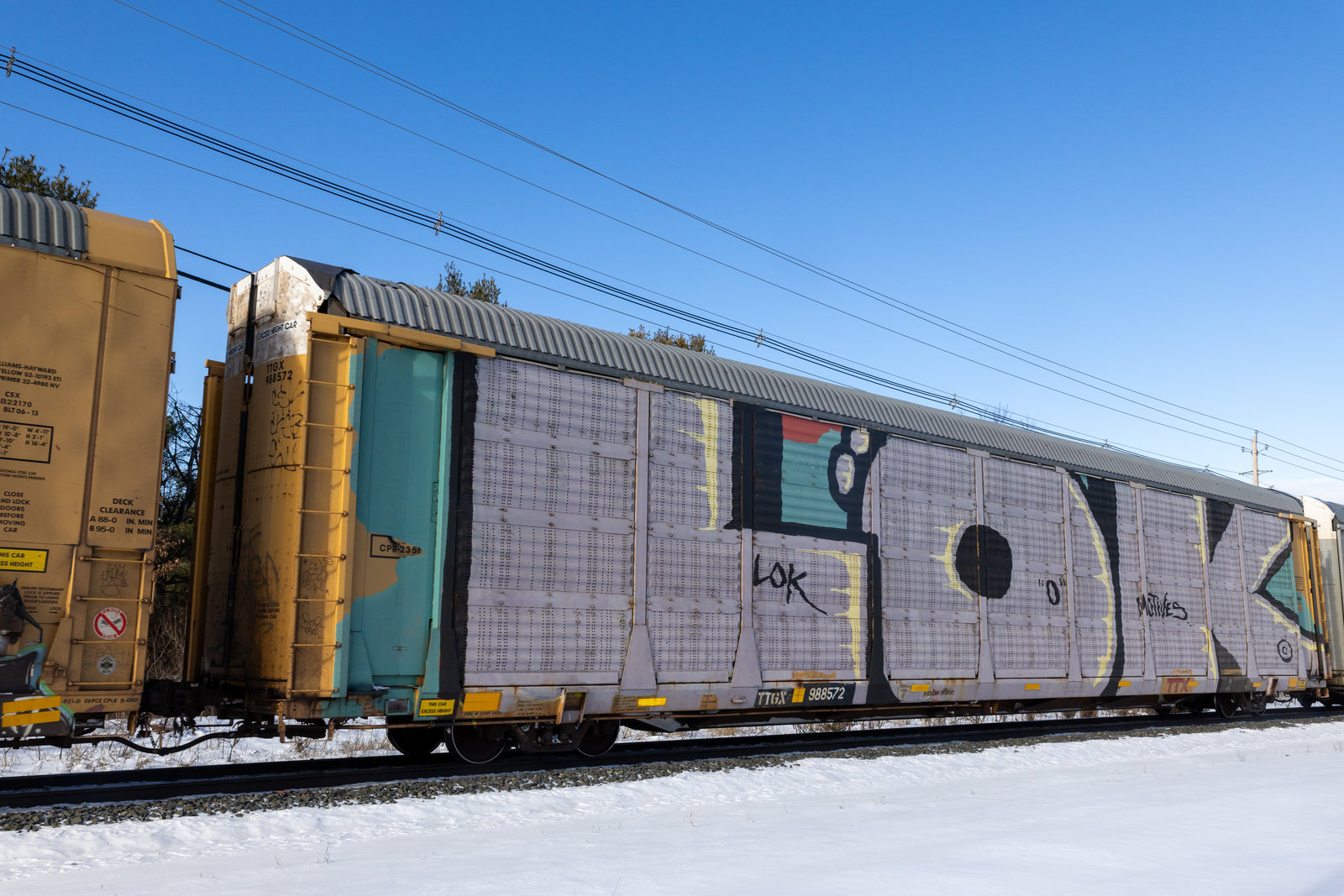 TTGX 988572
