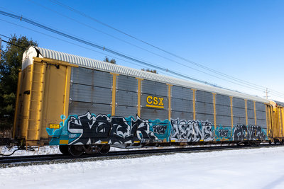 TTGX 157302