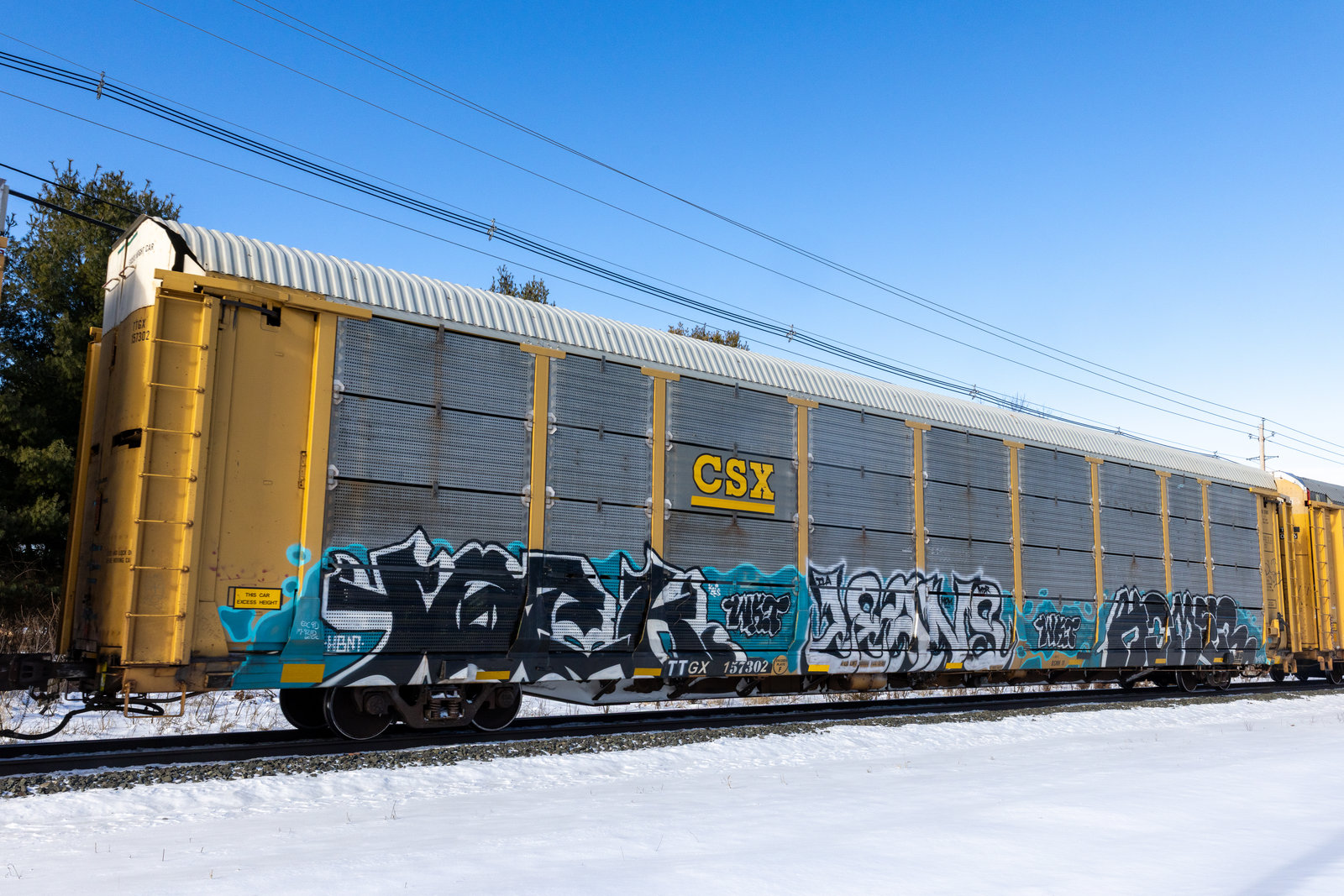 TTGX 157302
