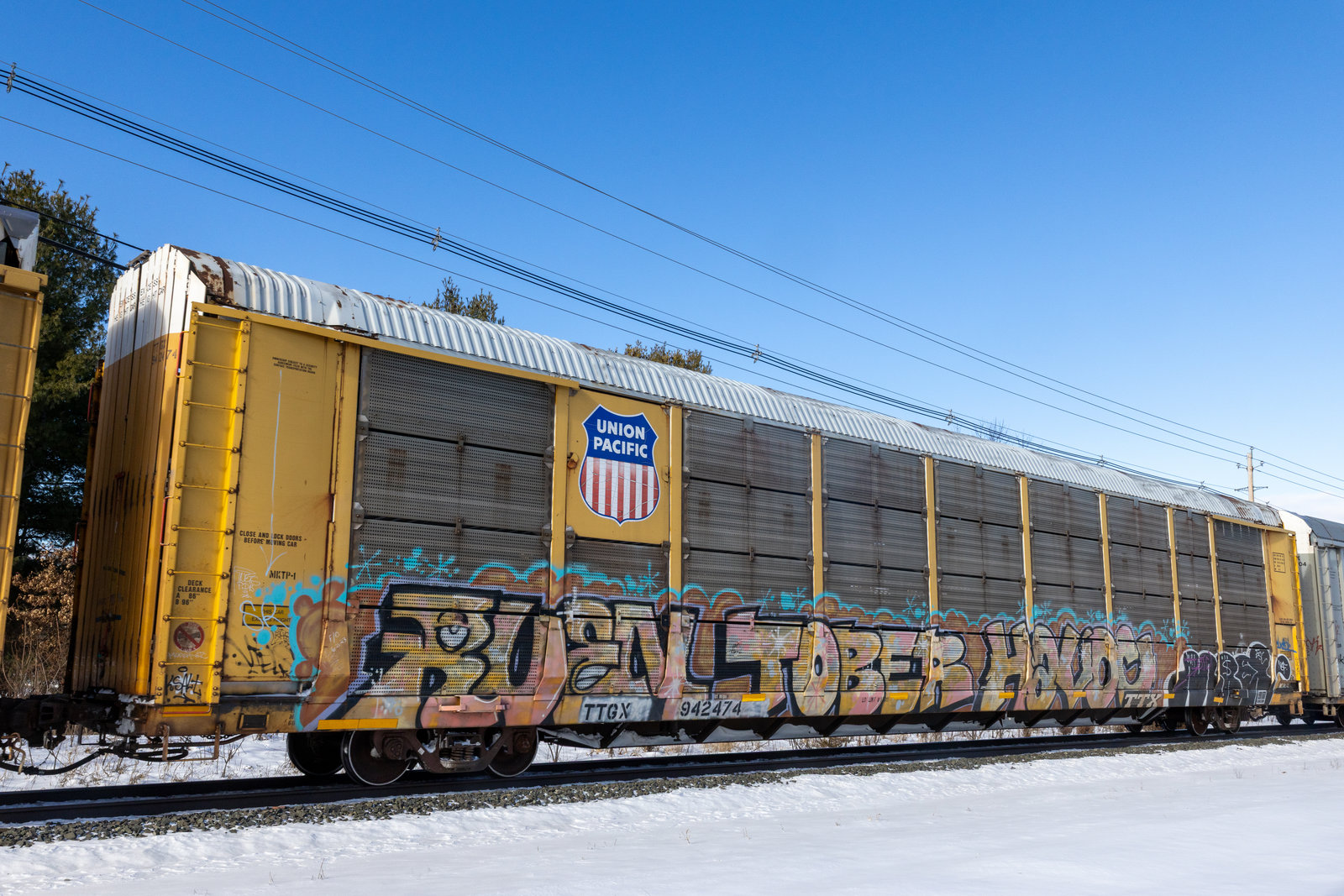 TTGX 942474