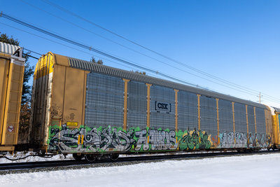 TTGX 716238