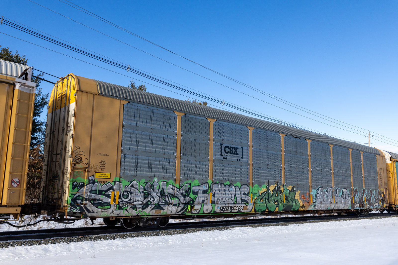 TTGX 716238