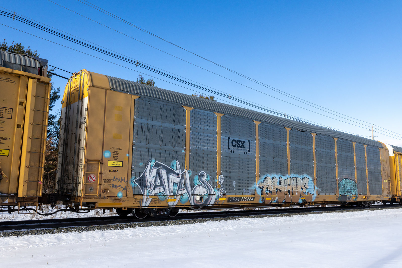 TTGX 716224