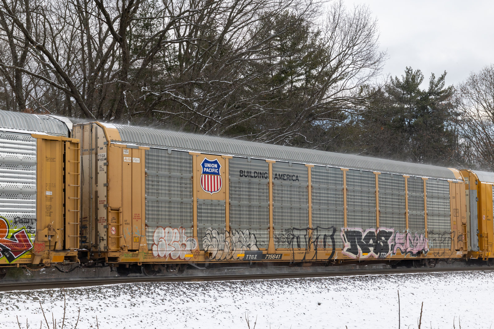 TTGX 715641