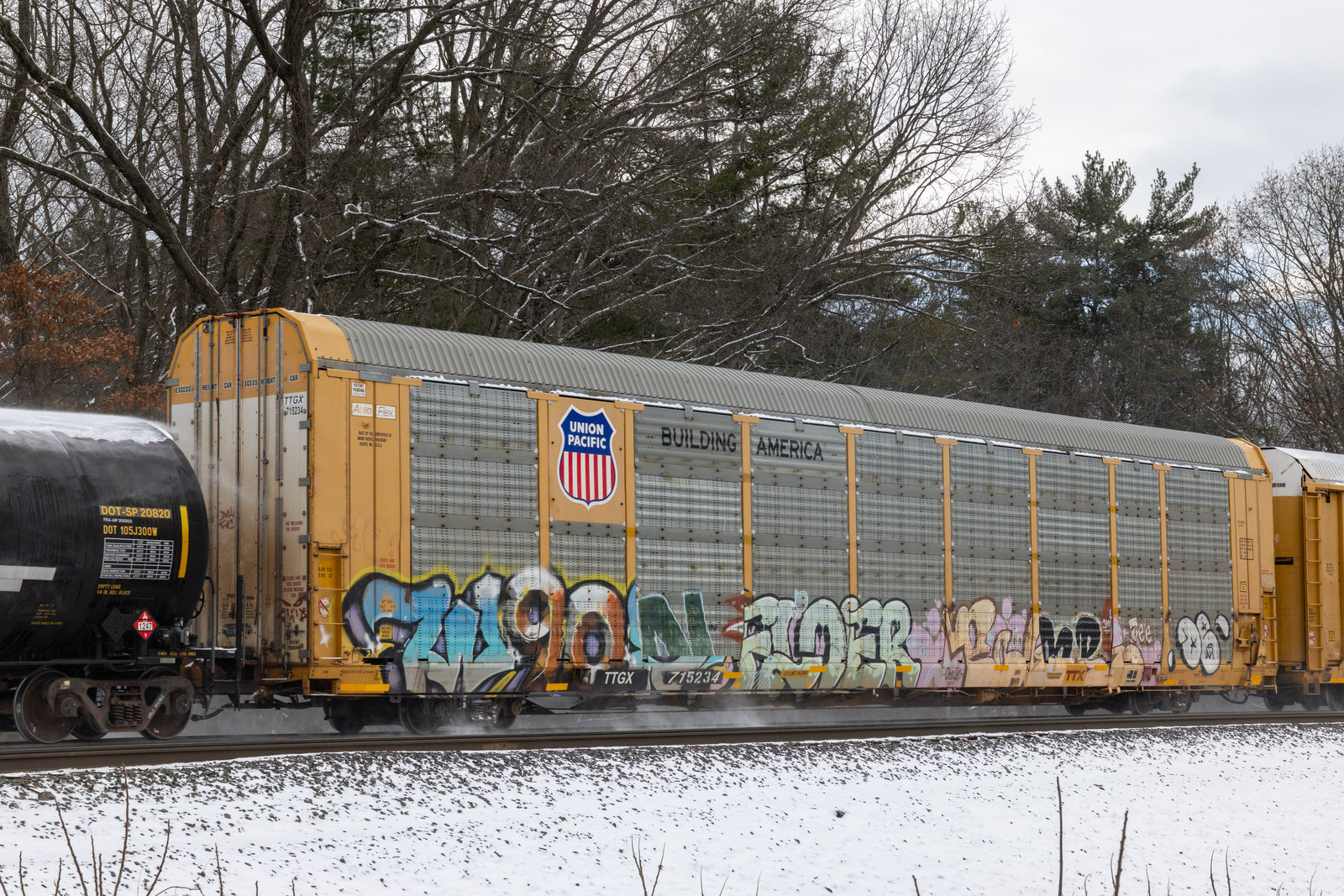 TTGX 715234