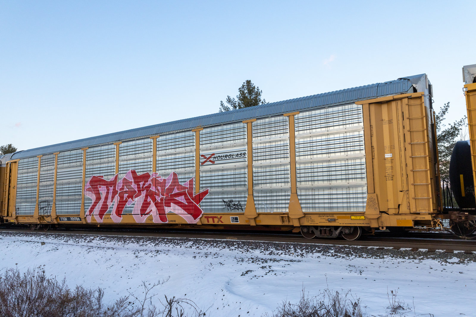 TTGX 701786