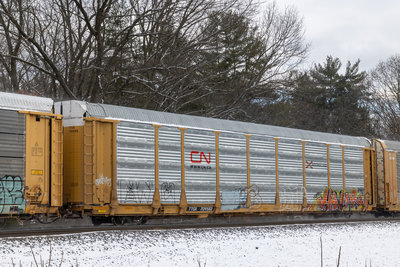 TTGX 709582