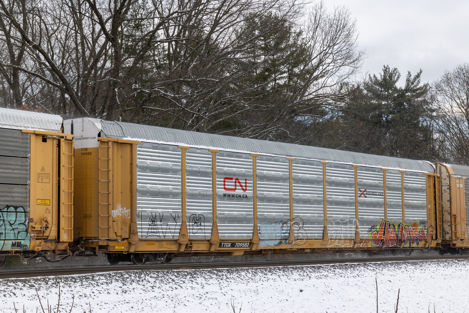 TTGX 709582