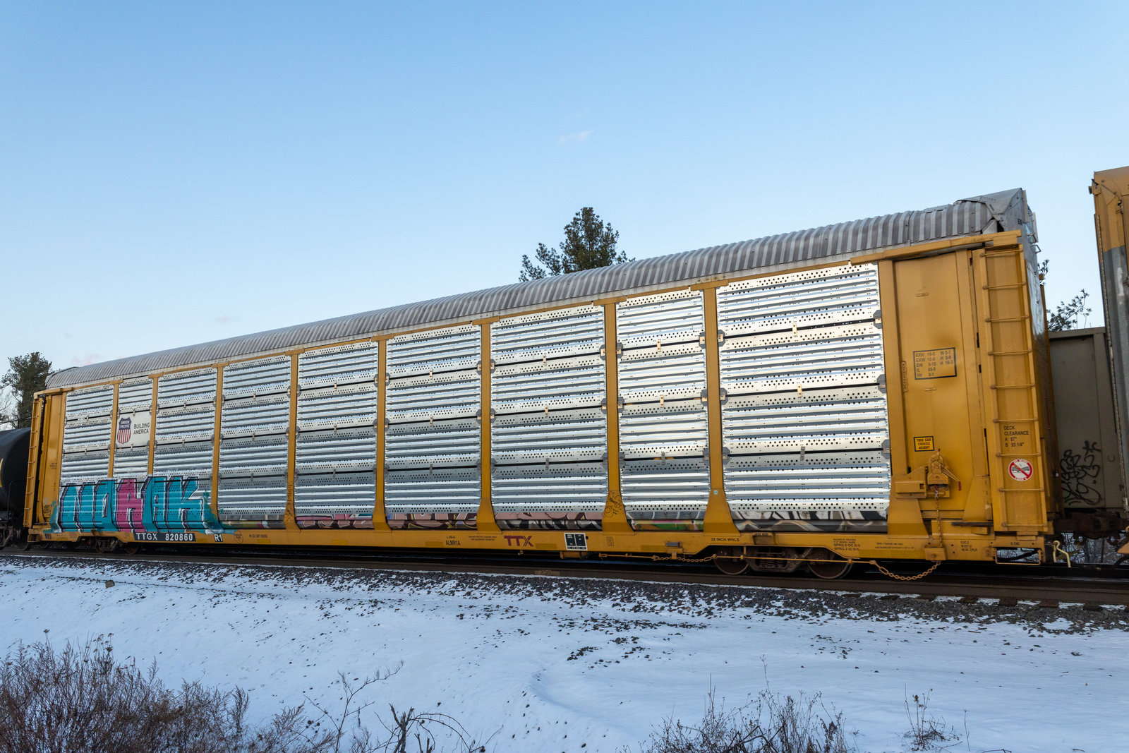 TTGX 820860