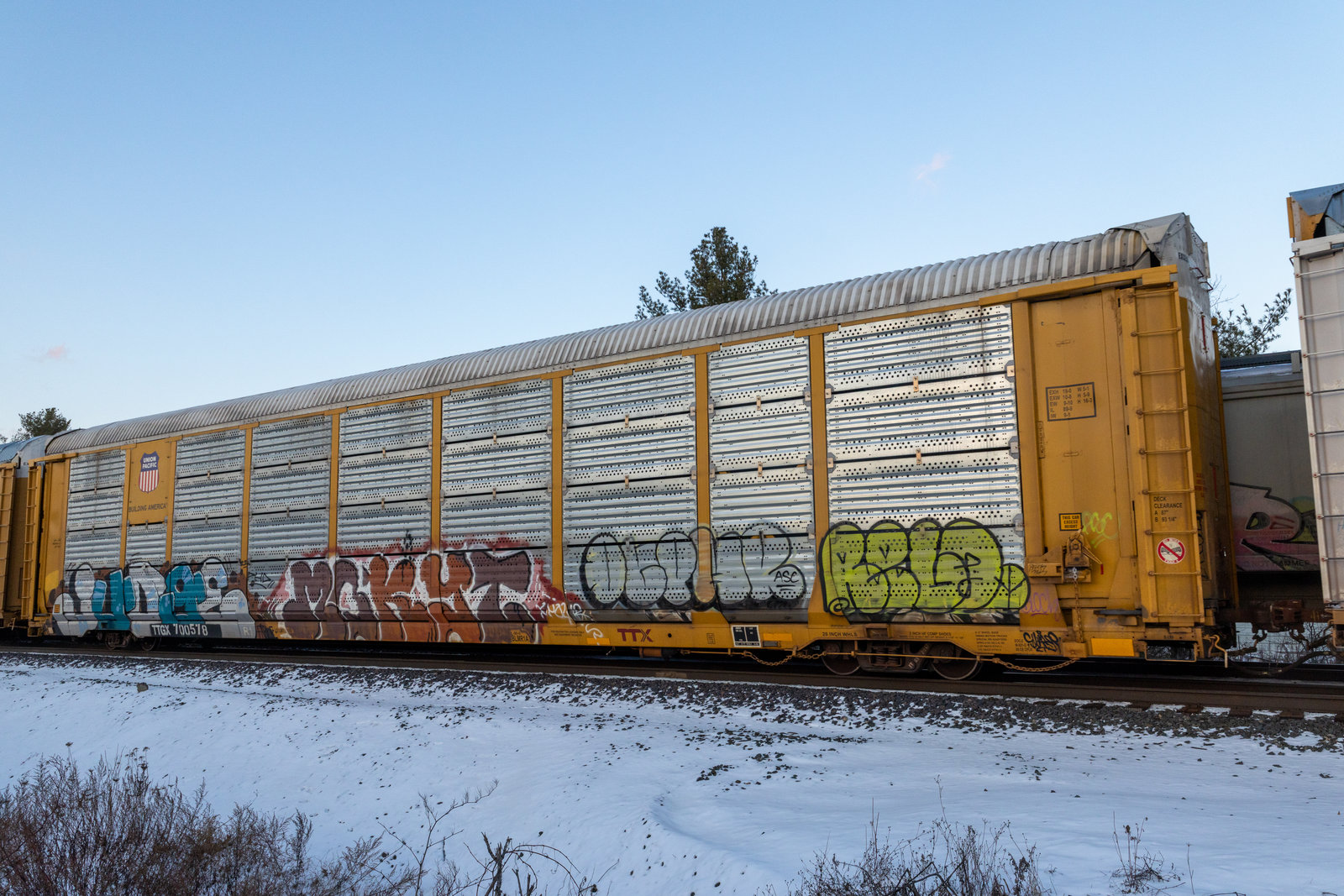 TTGX 700578