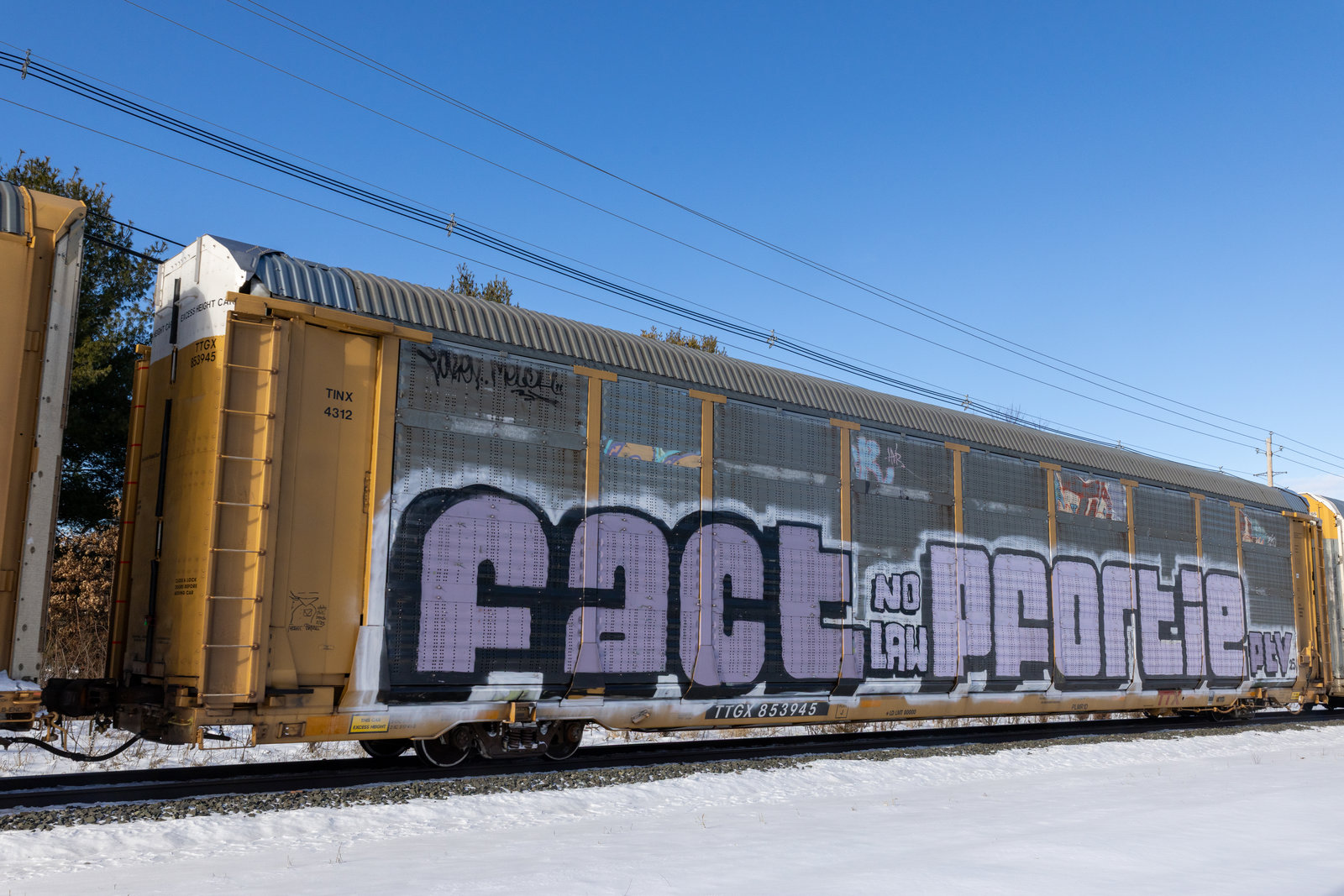 TTGX 853945