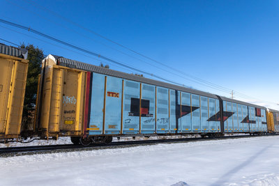BTTX 880164