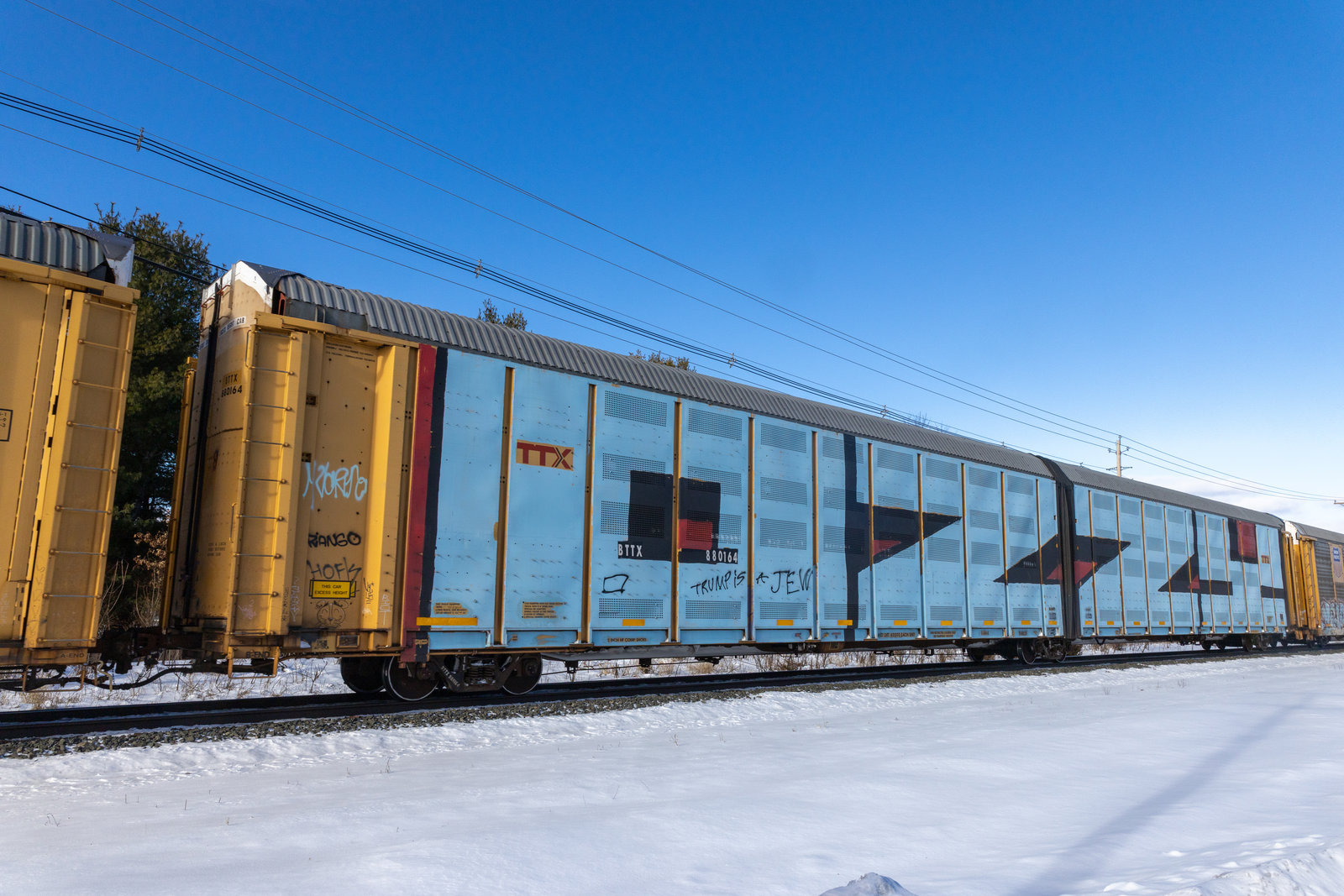 BTTX 880164